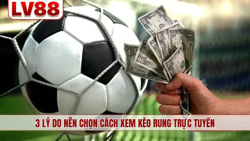 3 lý do nên chọn cách xem kèo rung trực tuyến