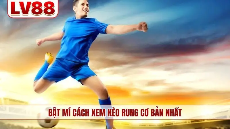 Bật mí cách xem kèo rung cơ bản nhất