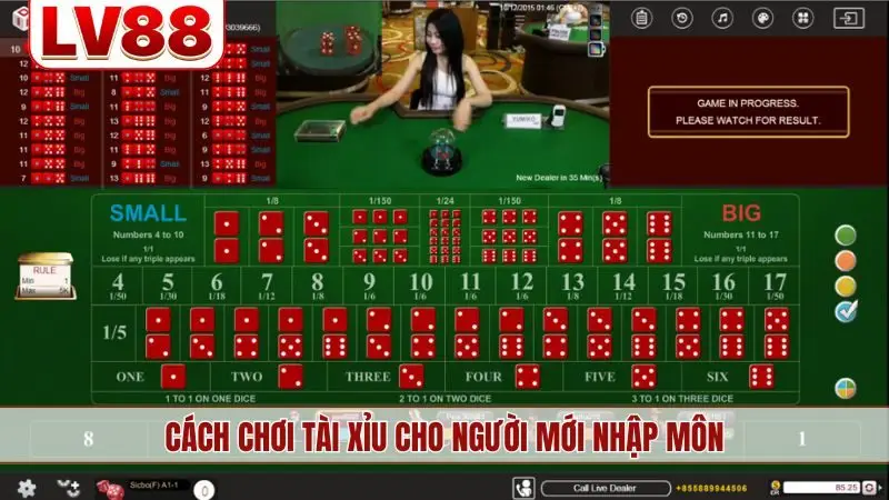 Cách chơi tài xỉu cho người mới nhập môn