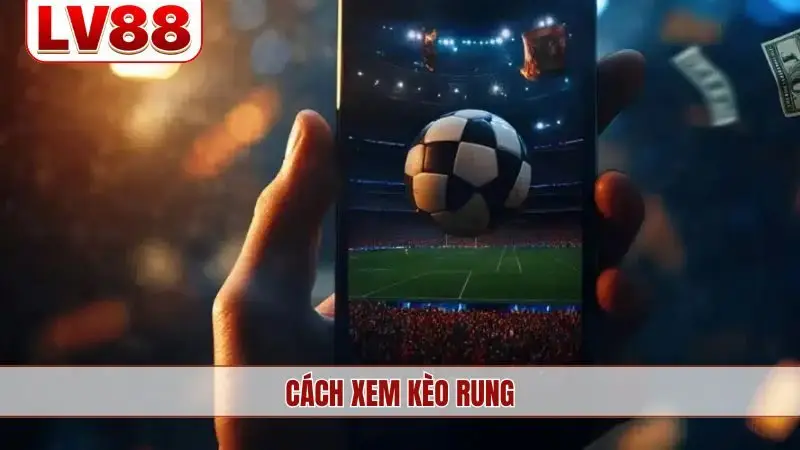 Cách xem kèo rung