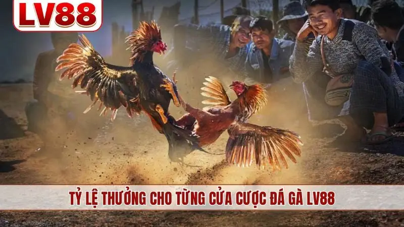 Tỷ lệ thưởng cho từng cửa cược đá gà LV88
